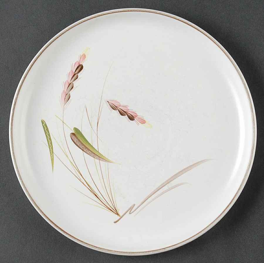 Harvest Salad Plate by Denby-Langley-1