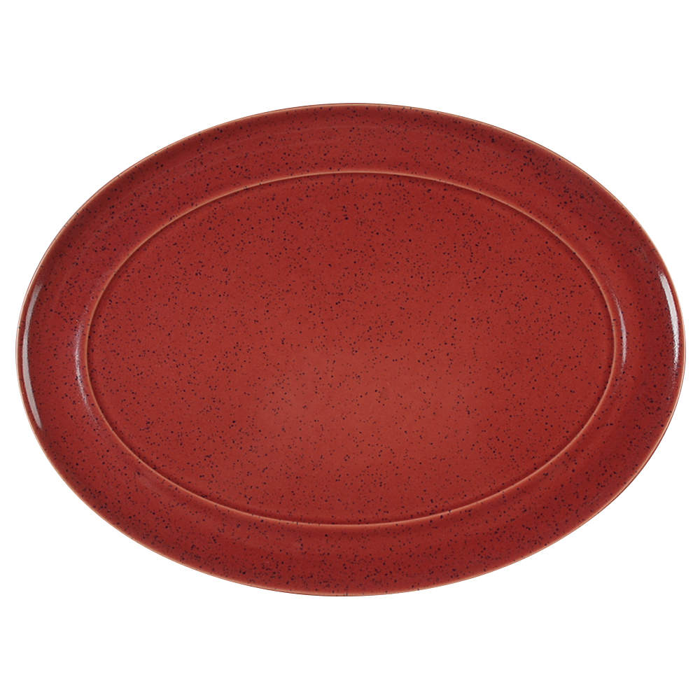 Harlequin 14" Oval Serving Platter by Denby-Langley-1