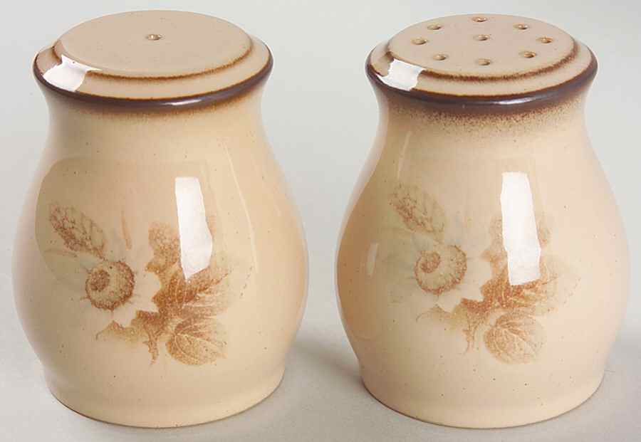 Memories Salt & Pepper Set by Denby-Langley-1