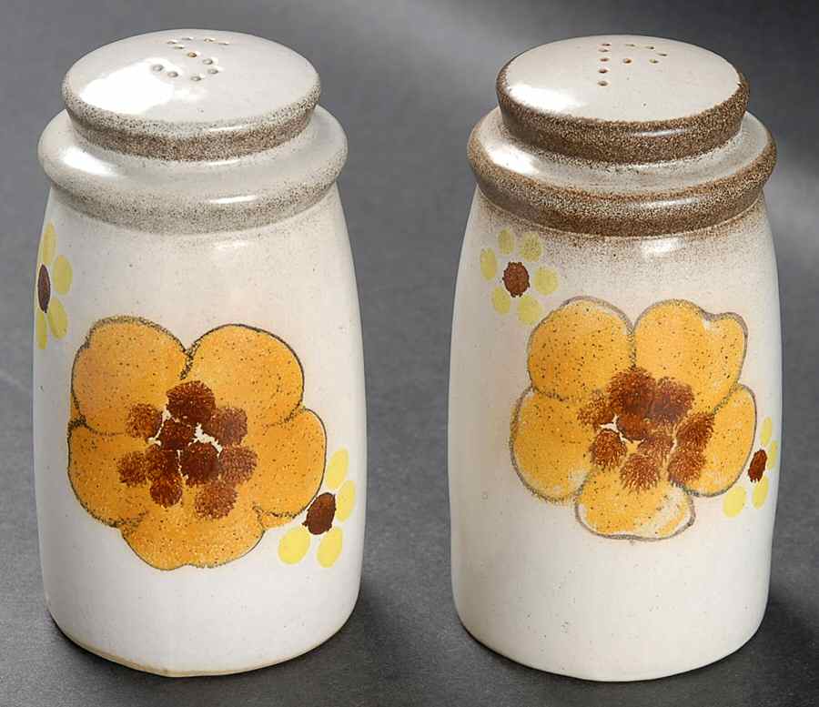 Minstrel Salt & Pepper Set by Denby-Langley-1