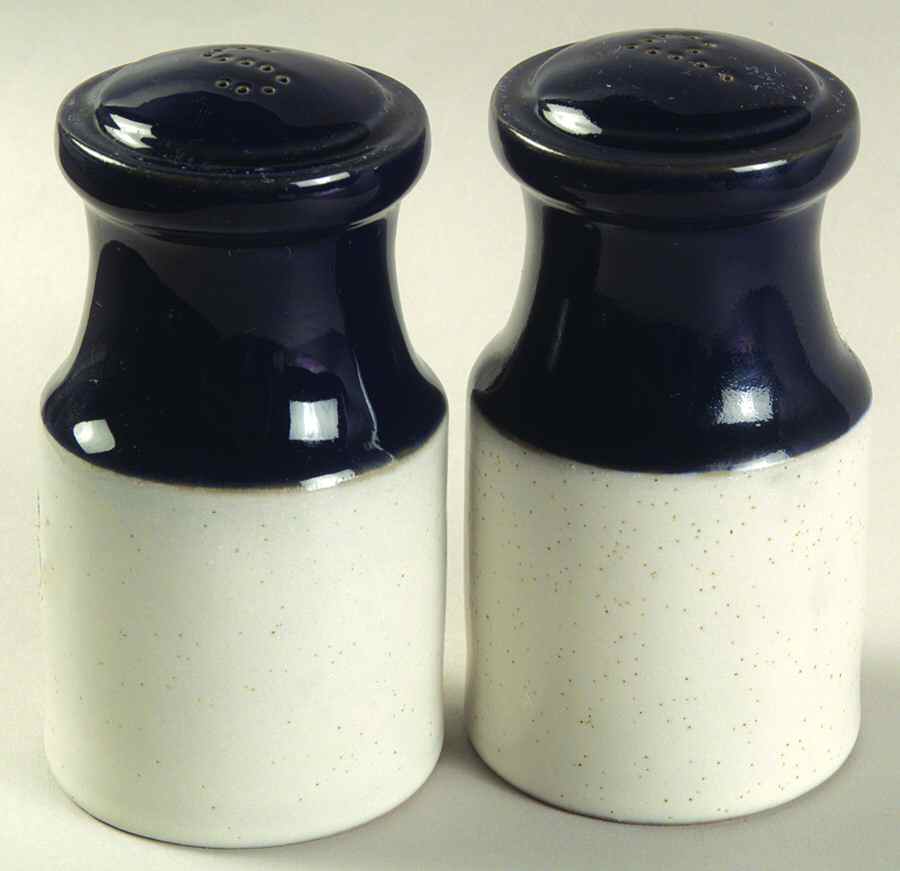 Potpourri Blue Salt & Pepper Set by Denby-Langley-1