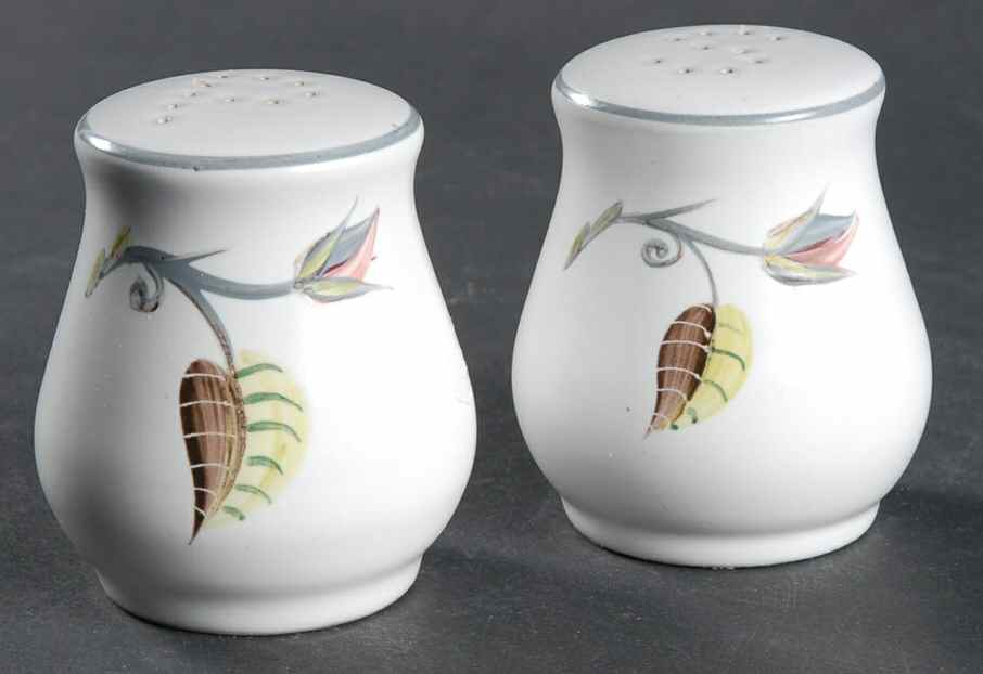 Spring Salt & Pepper Set by Denby-Langley-1