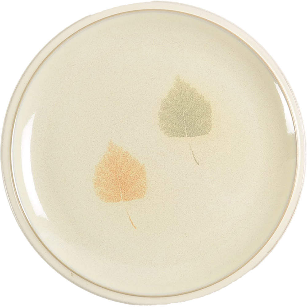 Energy Leaf Salad Plate by Denby-Langley-1