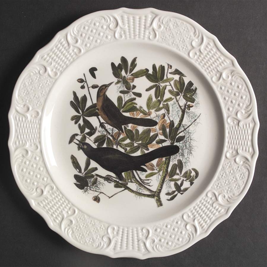 Birds of America (Scroll Rim) Dinner Plate by Delano Studios-1