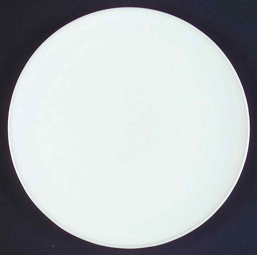 Signature (Coupe) Bread & Butter Plate by Denby-Langley-1