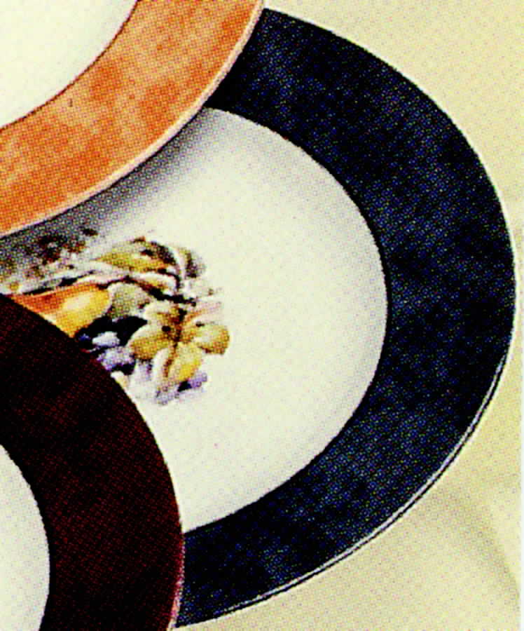 Scala Fruits Grey Salad/Dessert Plate by Philippe Deshoulieres-1