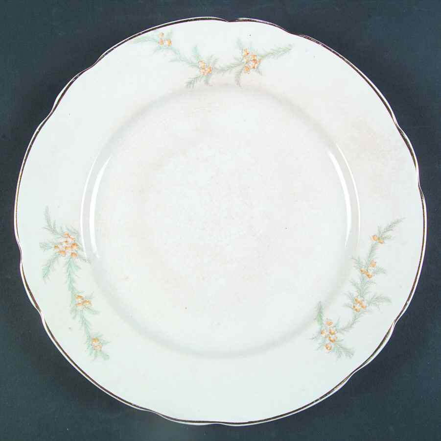 DRC18 Luncheon Plate by Dresden (USA)-1