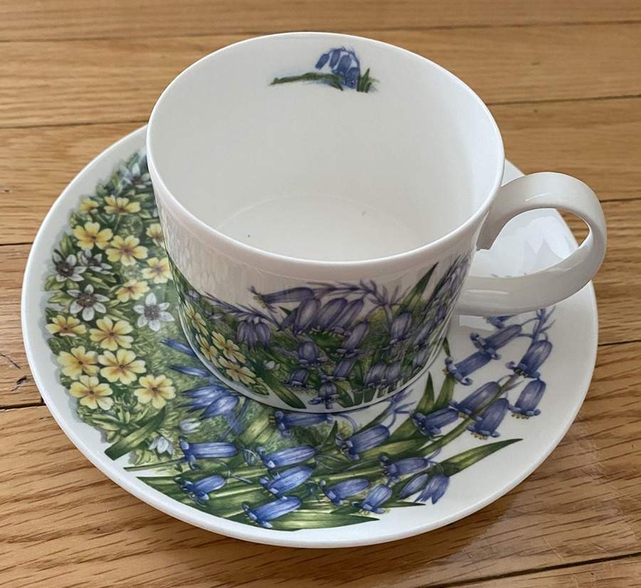 English Wildflowers Flat Cup & Saucer Set by Dunoon-1
