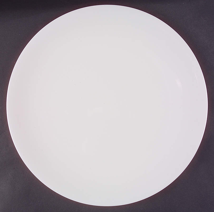 China Large Dinner Plate by Denby-Langley-1
