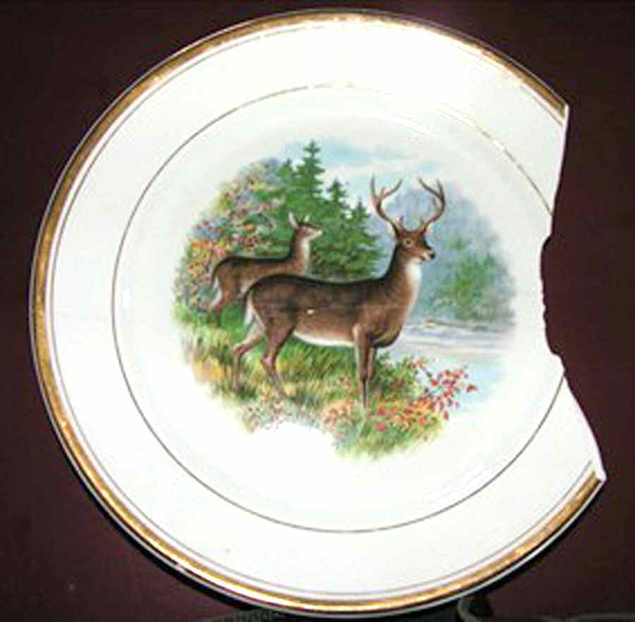 D3318 Luncheon Plate by Dresden (USA)-1