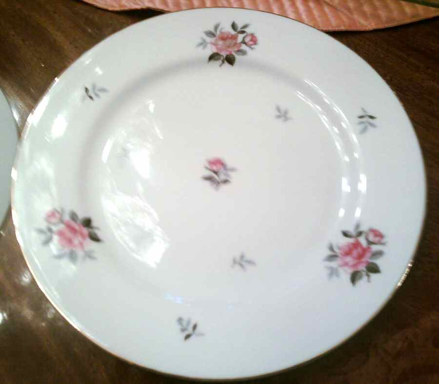 DWF4 Dinner Plate by DW (Japan)-1