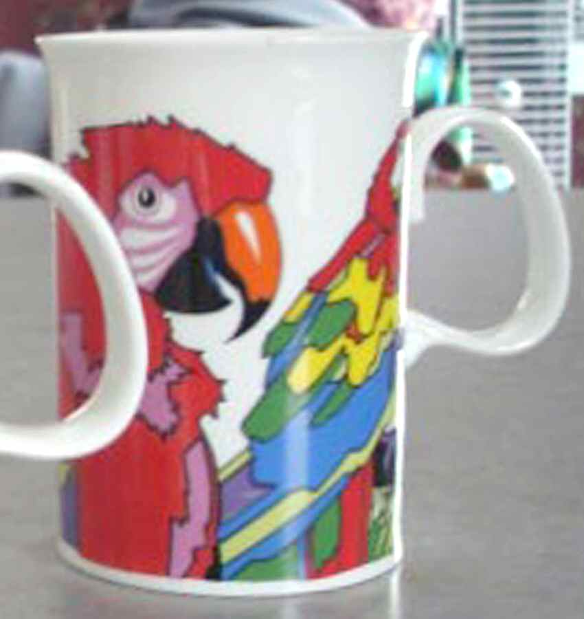Samoa Mug by Dunoon-1