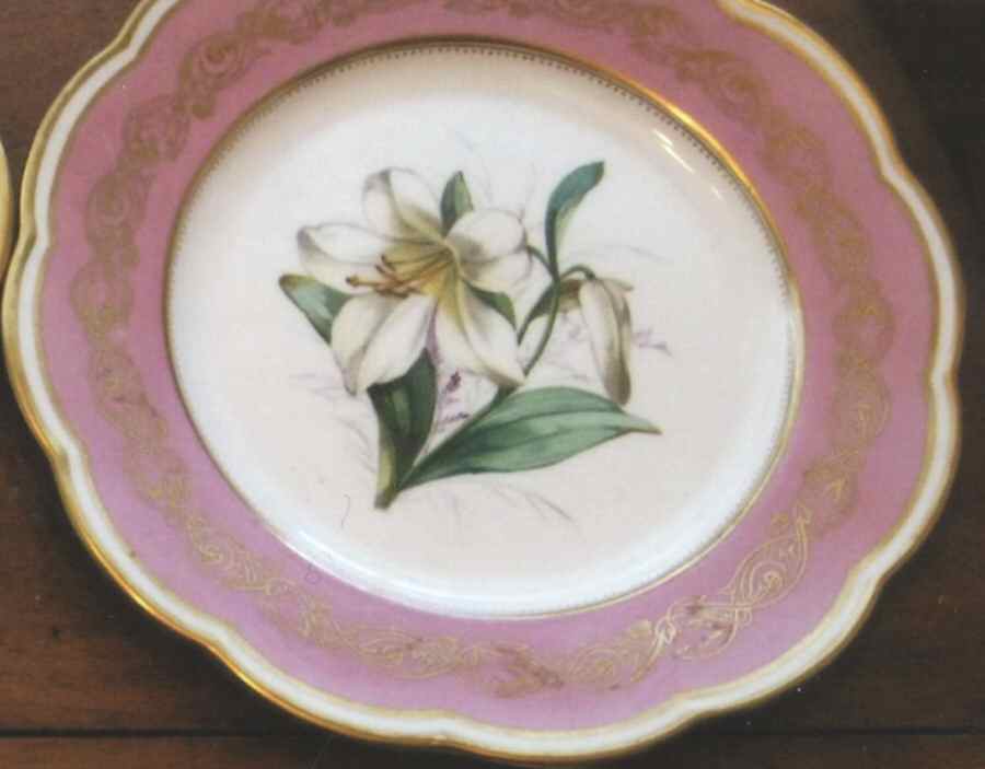 DAV33 Salad Plate by Davenport-1