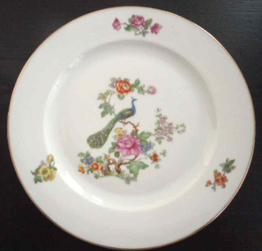 DFH6 Dinner Plate by Proeschold & Co-1