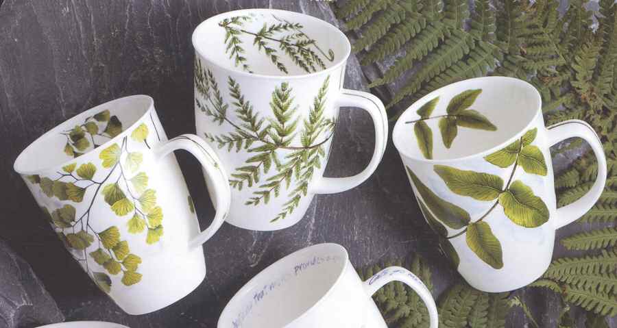 Ferns Mug by Dunoon-1