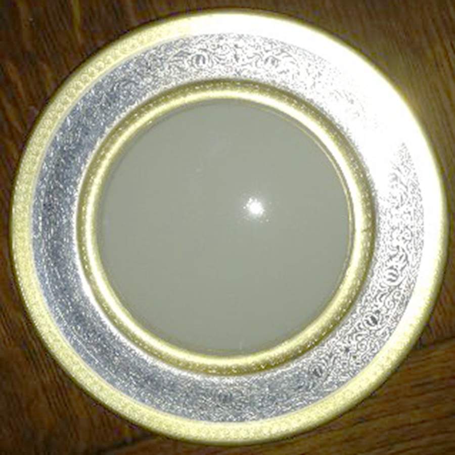 DWP5 Dinner Plate by D W Porzellan-1