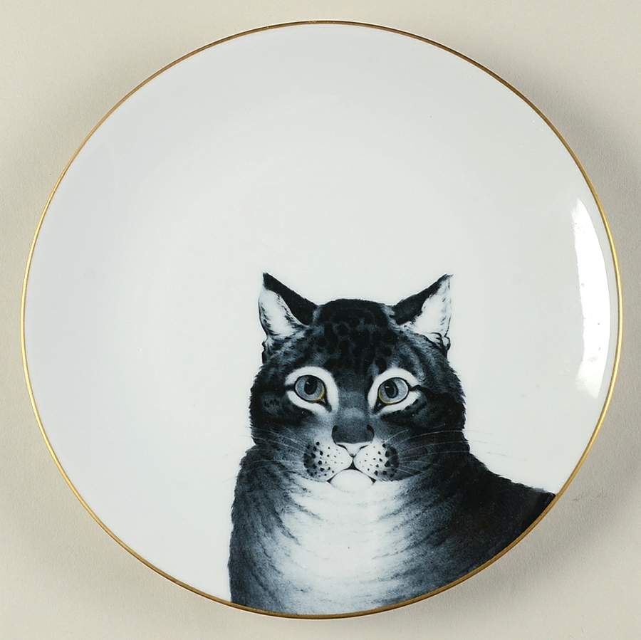 Favorite Cat, The Salad Plate by Philippe Deshoulieres-1
