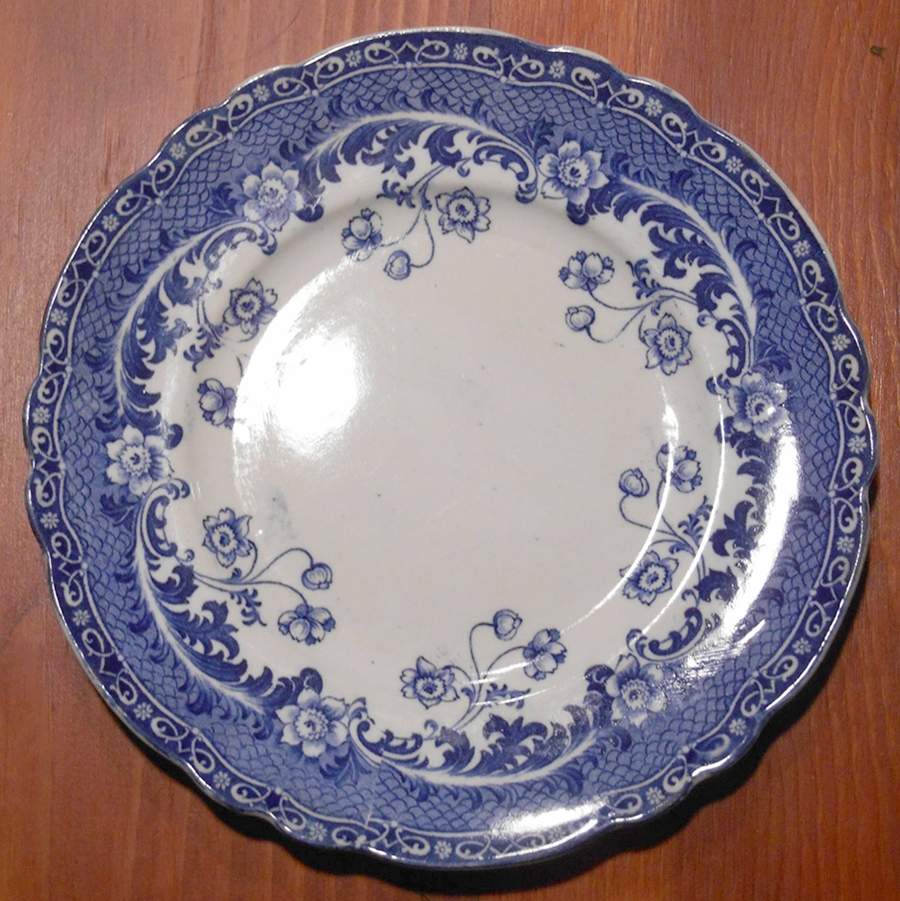 Congo Dinner Plate by Dudson, Wilcox & Till-1