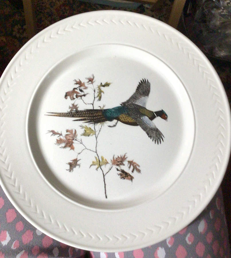 Birds of America (Laurel Rim) Dinner Plate by Delano Studios-1