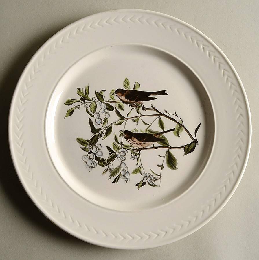 Birds of America (Laurel Rim) Dinner Plate by Delano Studios-1