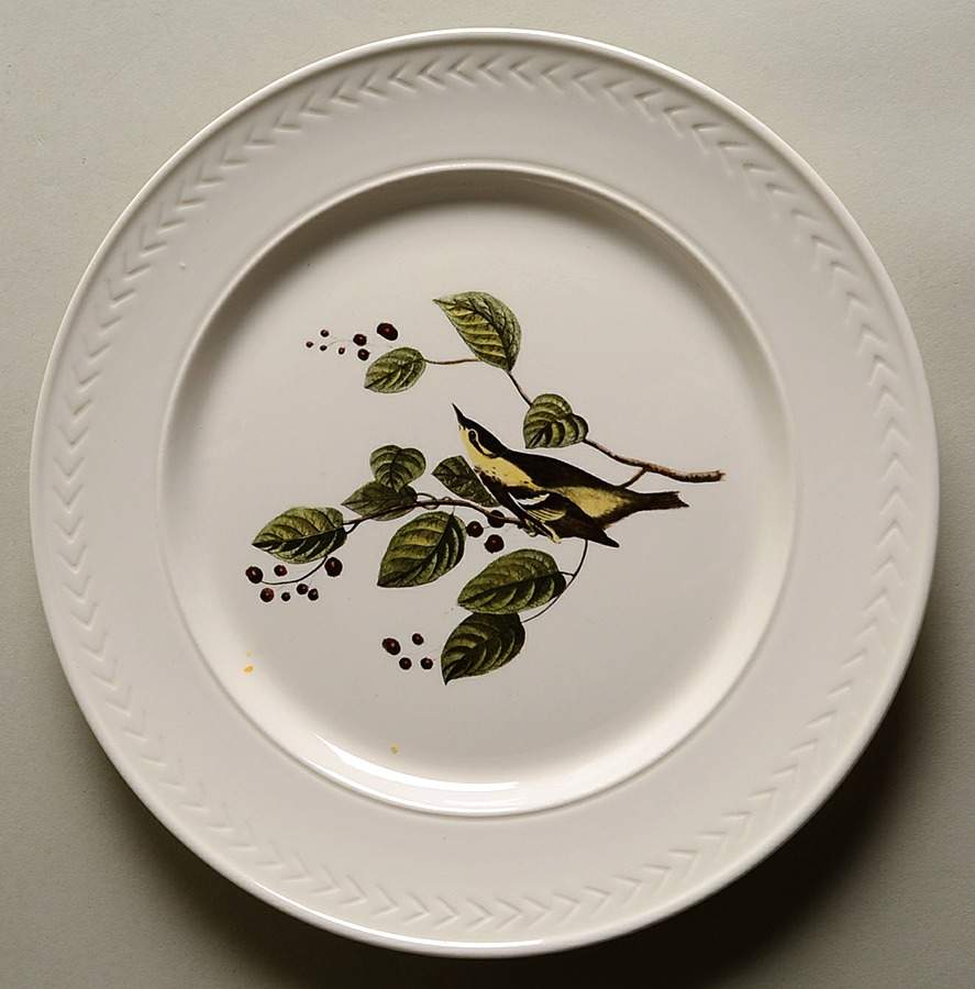 Birds of America (Laurel Rim) Dinner Plate by Delano Studios-1
