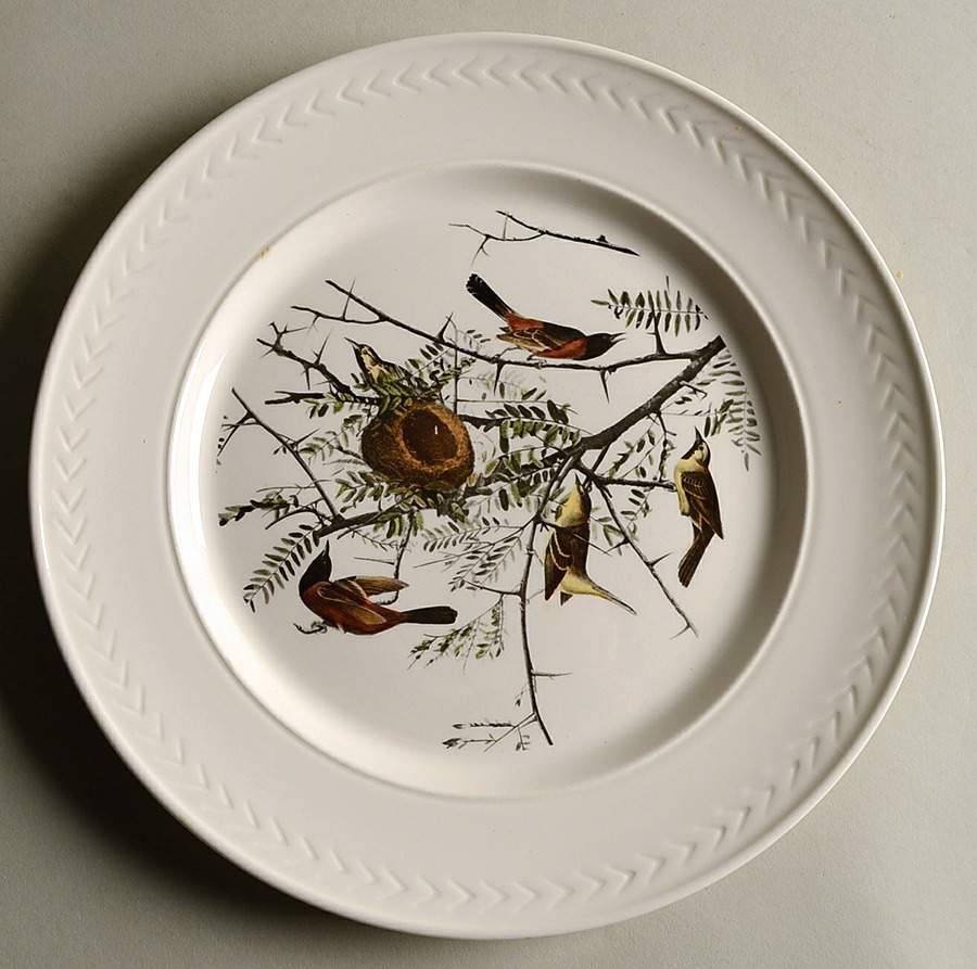 Birds of America (Laurel Rim) Dinner Plate by Delano Studios-1