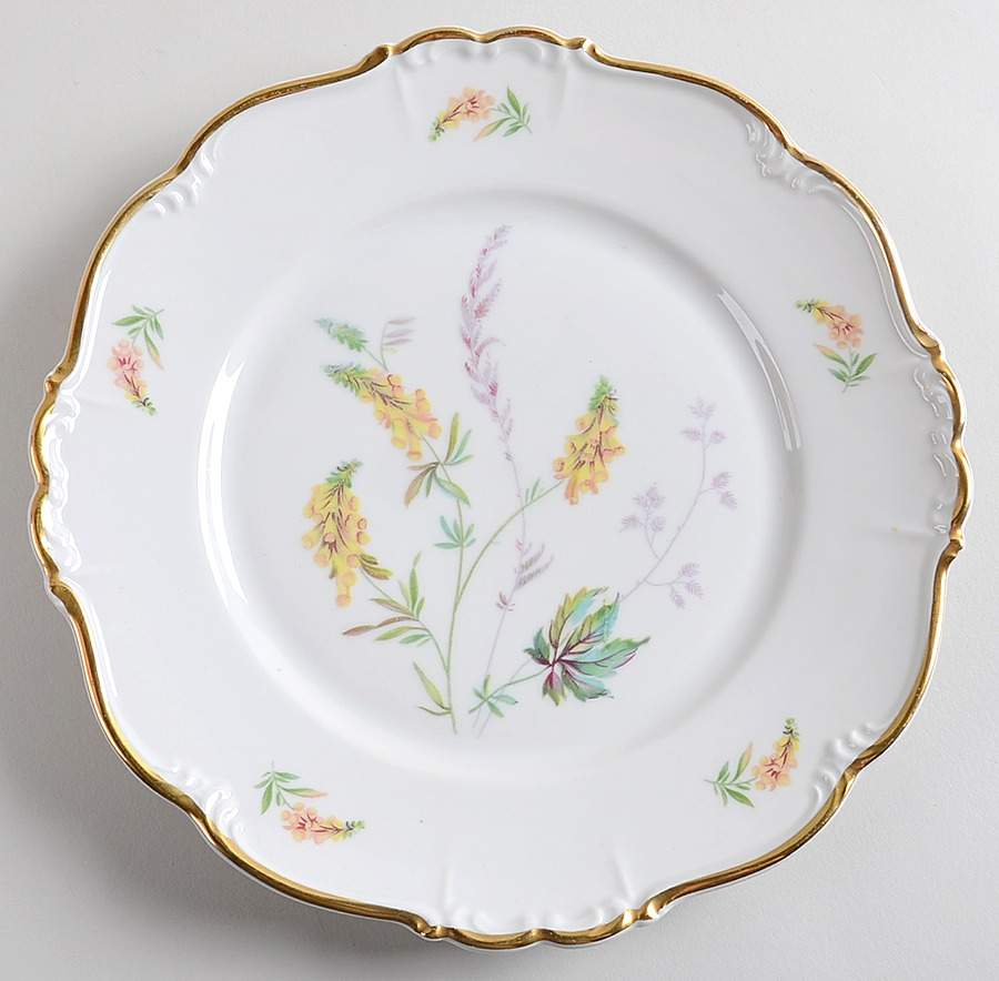 Dorchester Dinner Plate by Edelstein-1