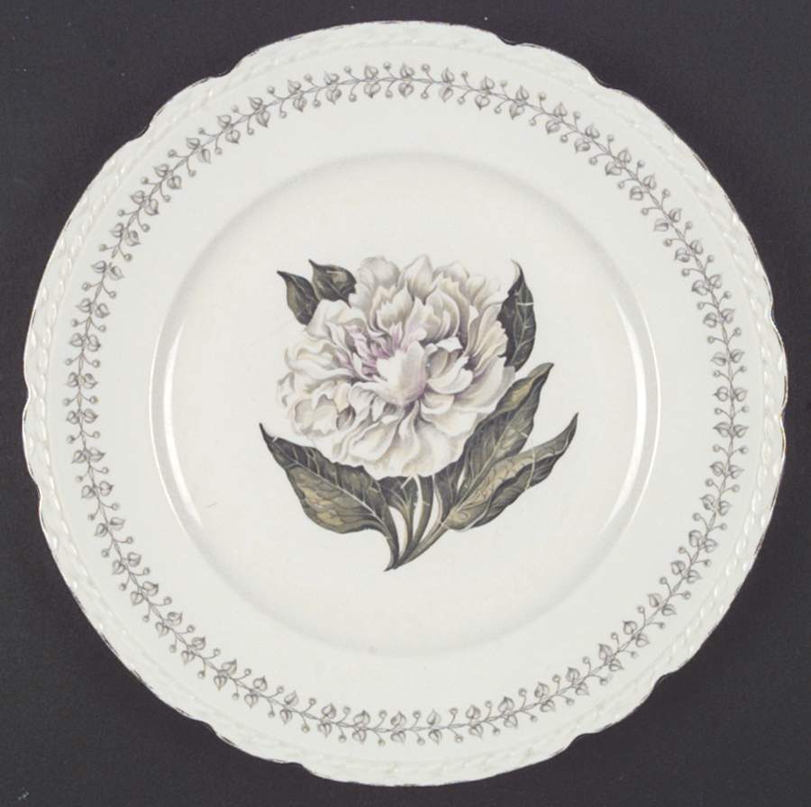 EMB31 (USA) Dinner Plate by Embassy (American)-1