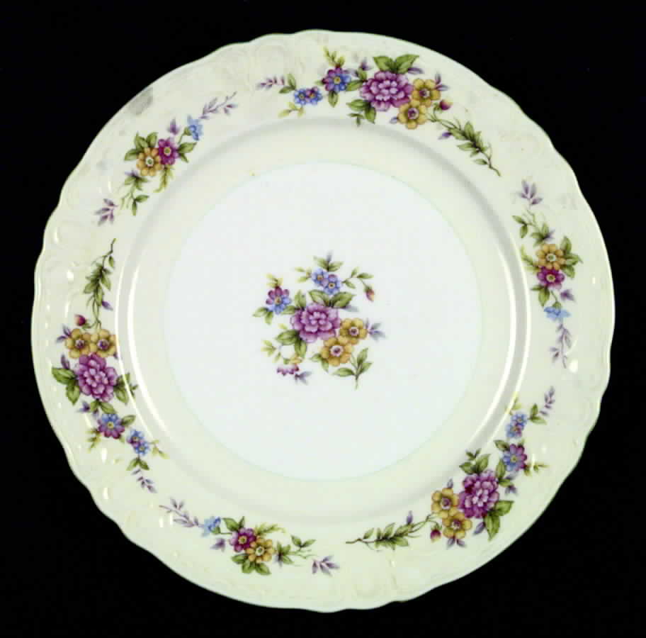 EMJ1 Dinner Plate by Embassy (Japan)-1
