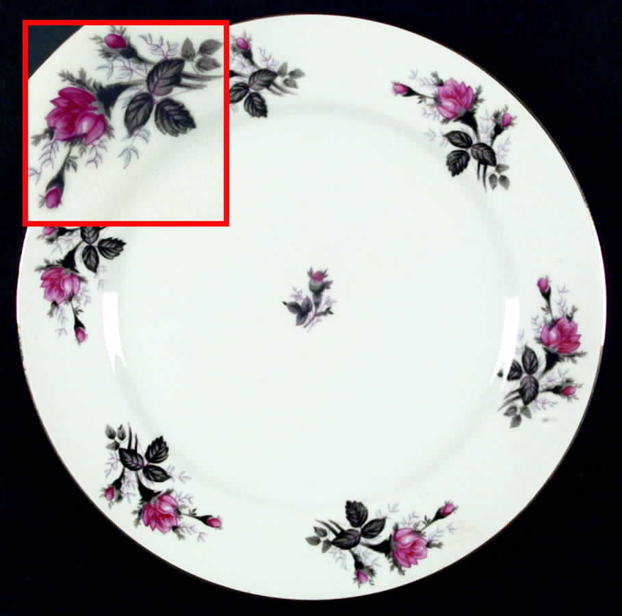 Gray Moss Rose (Smooth) Dinner Plate by Empress (Japan)-1