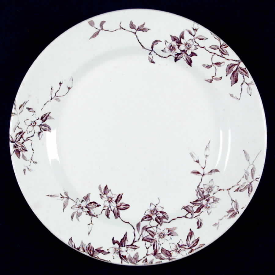 Albany Dinner Plate by F J Emery-1