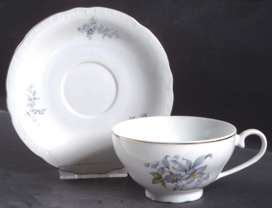 Wild Flower Footed Cup & Saucer Set by Europa-1