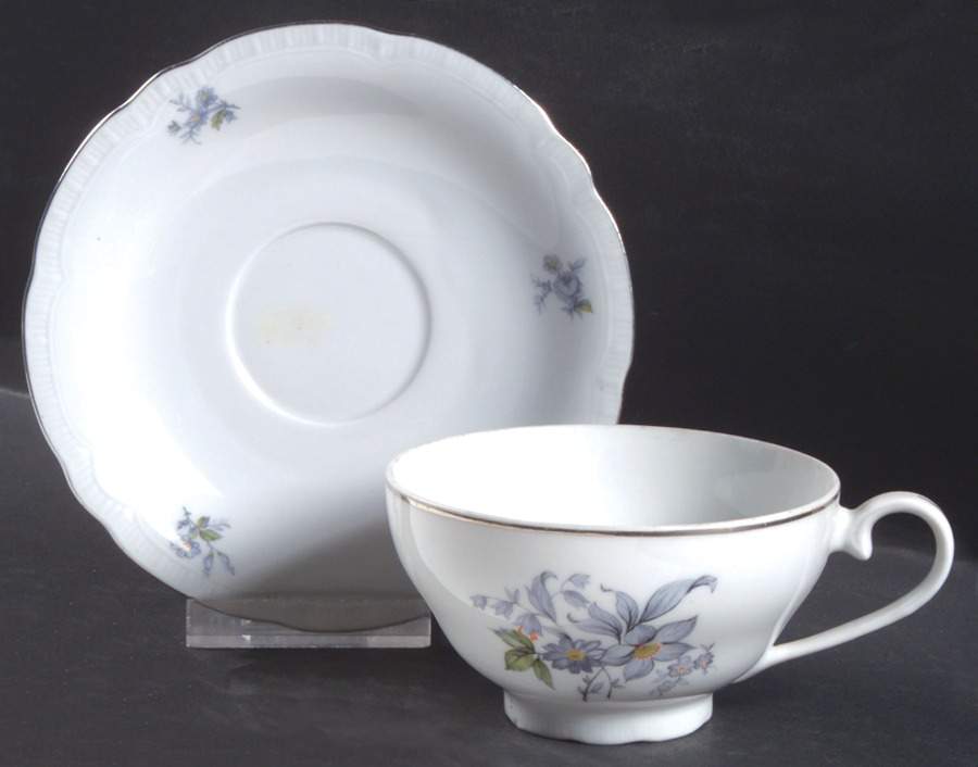 Wild Flower Footed Cup & Saucer Set by Europa-1