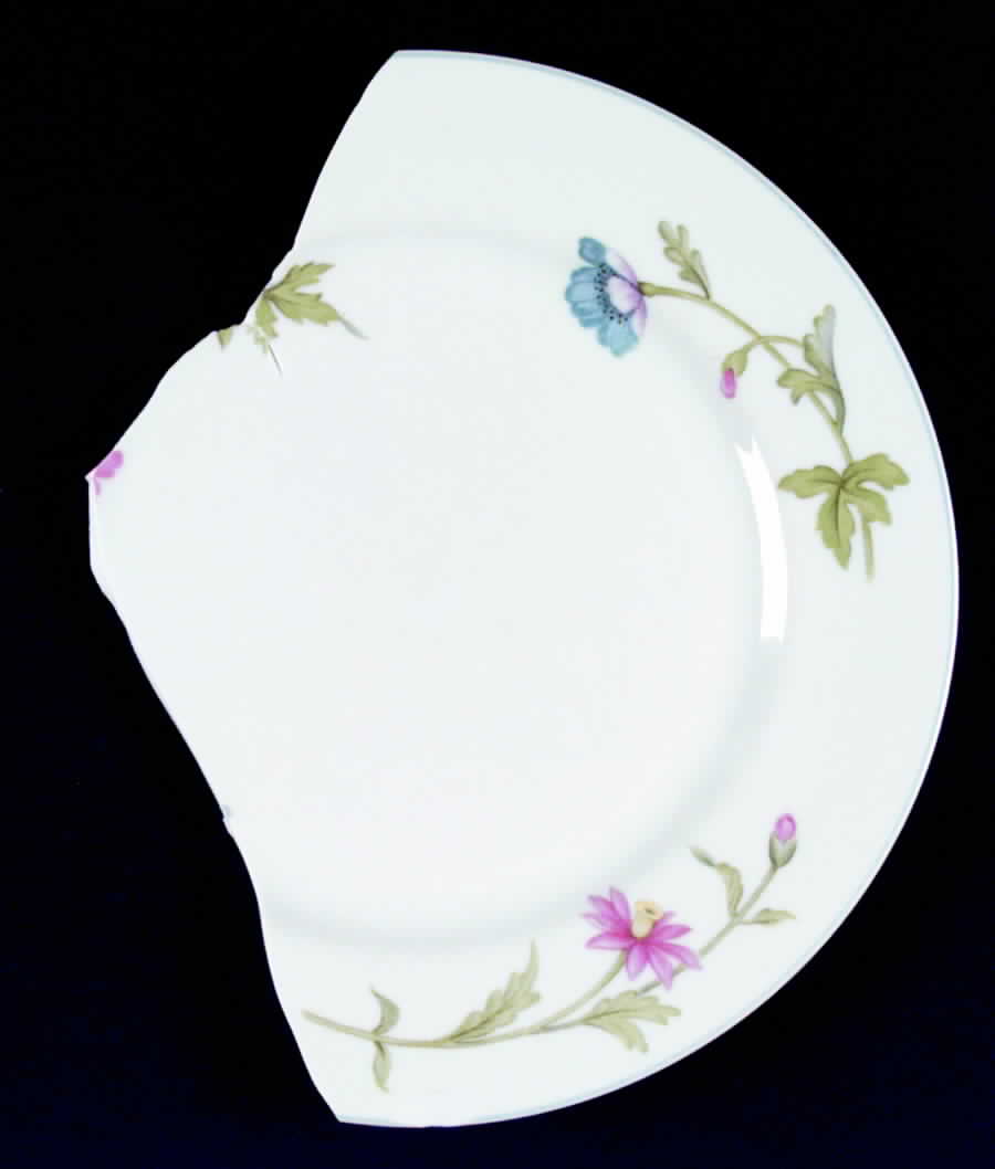 Laurel Dinner Plate by Empress (Japan)-1