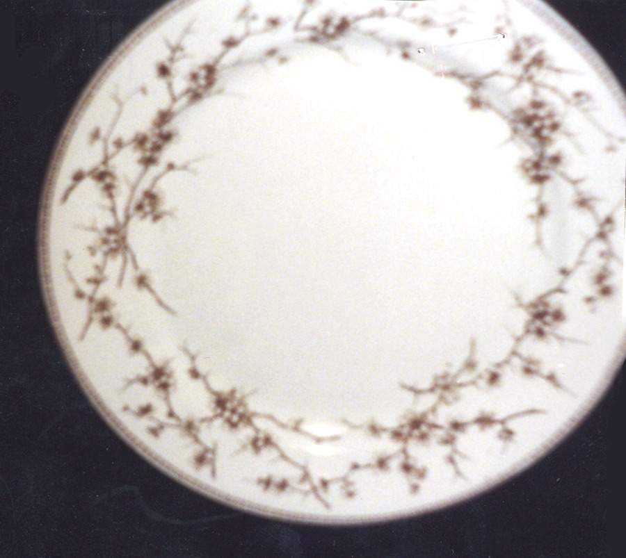 Thorn Brown Dinner Plate by F J Emery-1