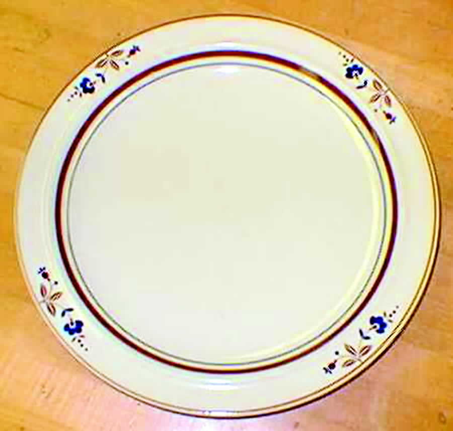 Brown Delight Dinner Plate by Epoch-1