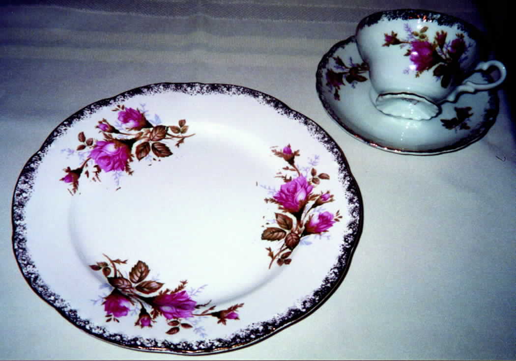 ESO10 Dinner Plate by ESCO (Japan)-1