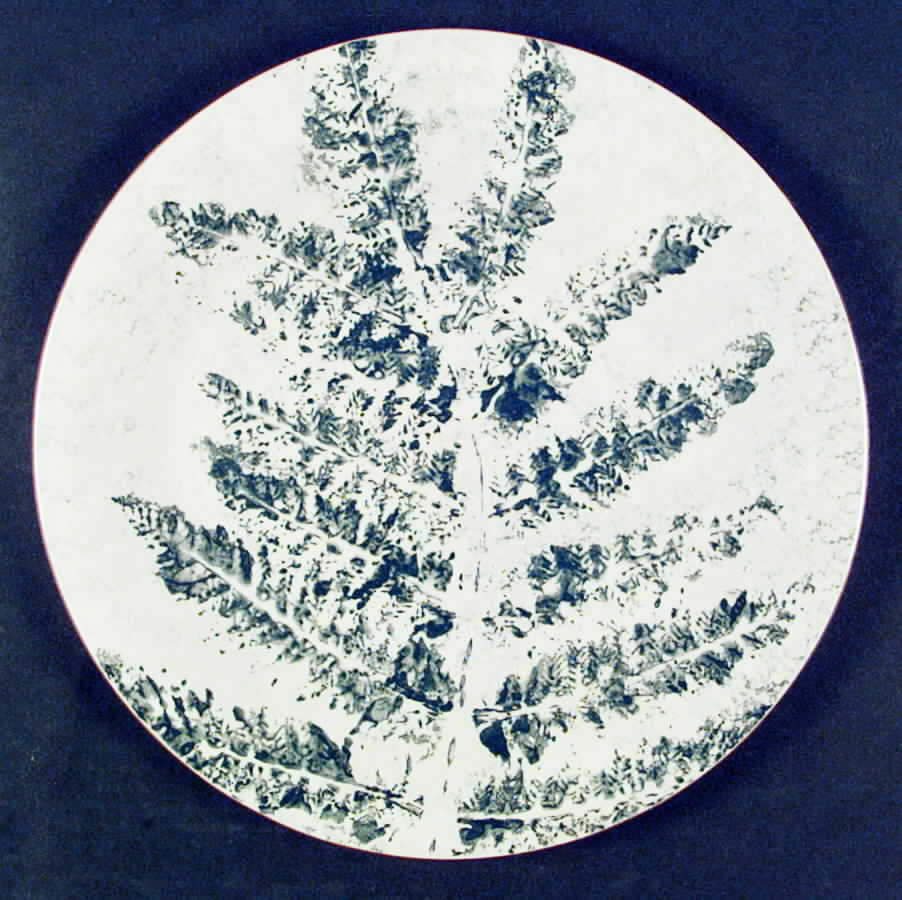 ELV5 12" Chop Plate (Round Platter) by Ellen Evans-1