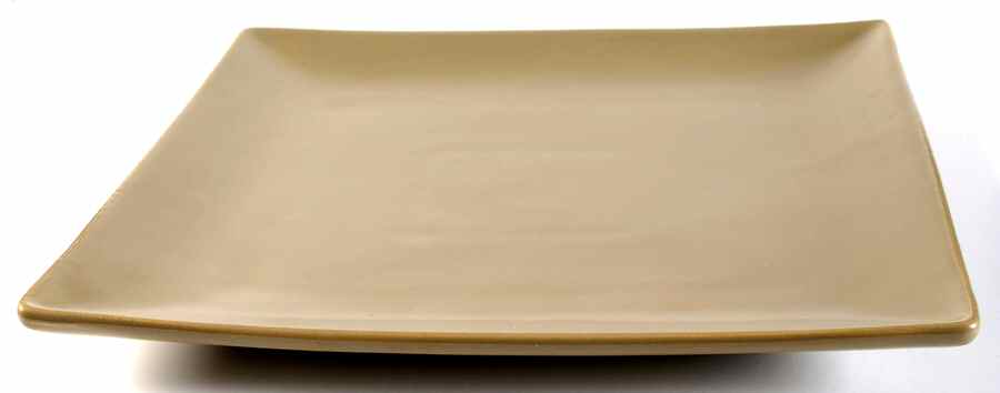 Trilogy Taupe Square Dinner Plate by Essence-1