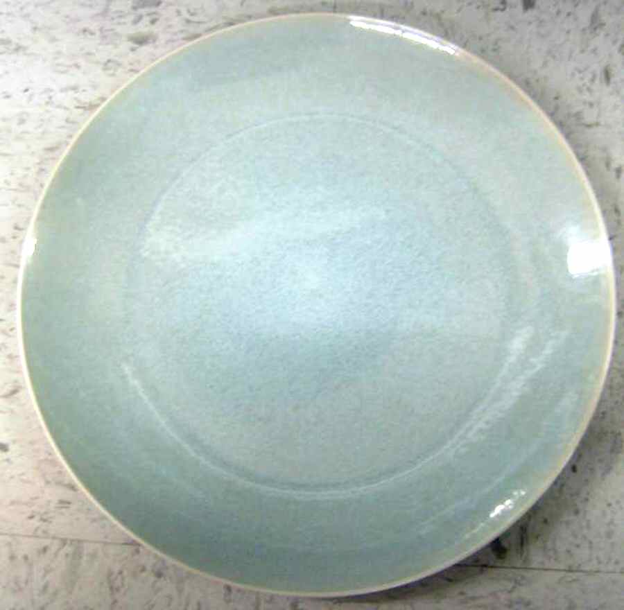 ECO3 Dinner Plate by Echo Point-1