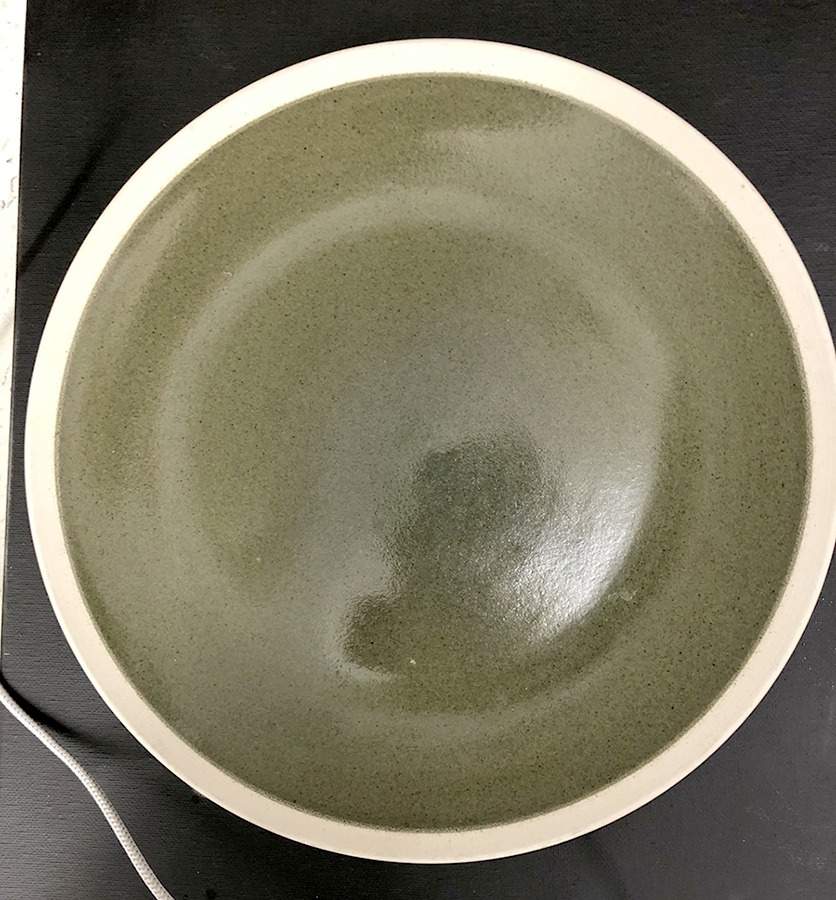 Bequest Green Dinner Plate by Essential Home-1