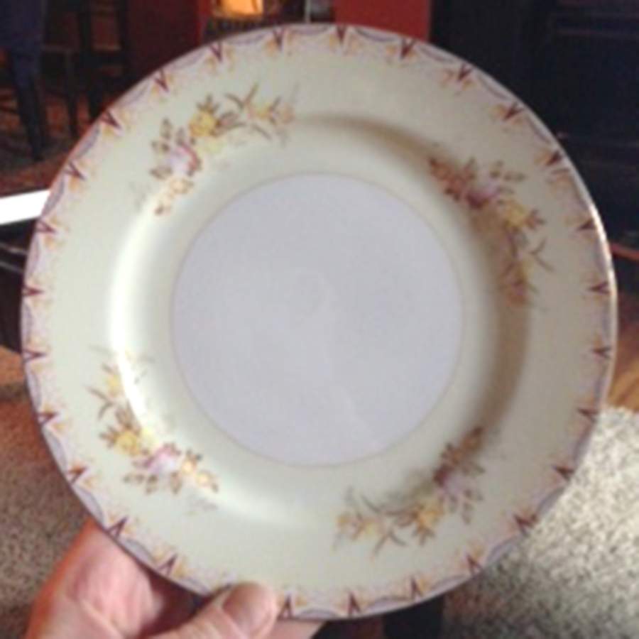 EMP126 Dinner Plate by Empress (Japan)-1