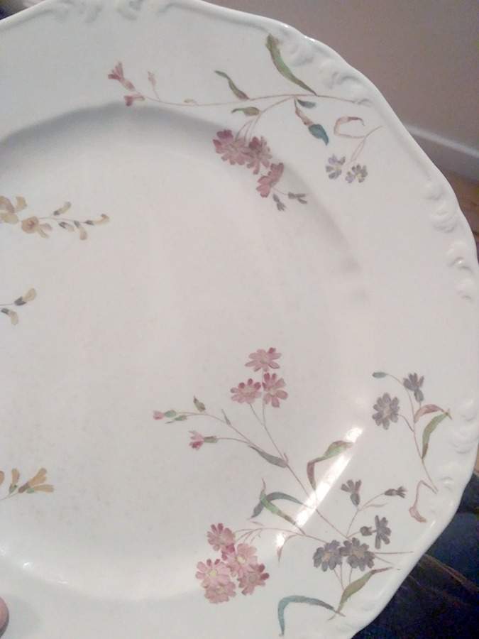 Sweet Pea Dinner Plate by Emile Bourgeois (France)-1
