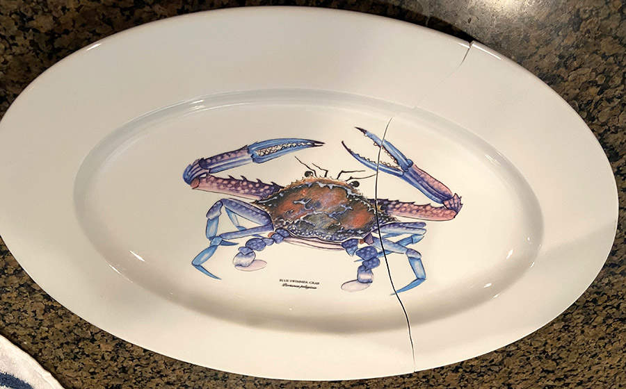 ESZ1 14" Oval Serving Platter by Essence-1