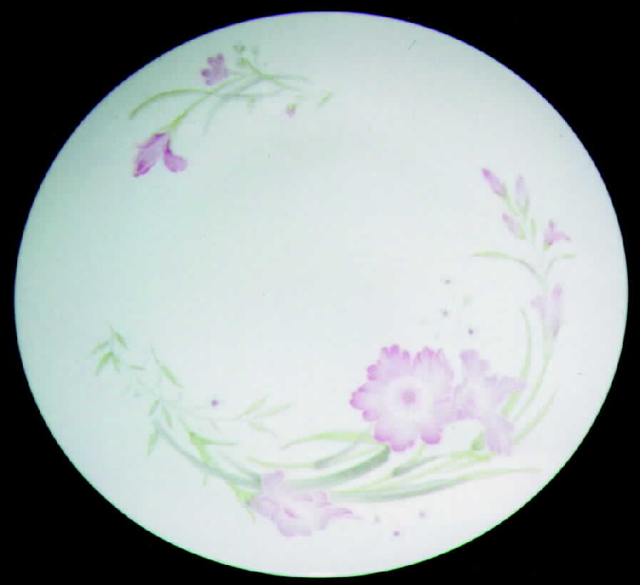FCC36 Dinner Plate by Fine China of China-1