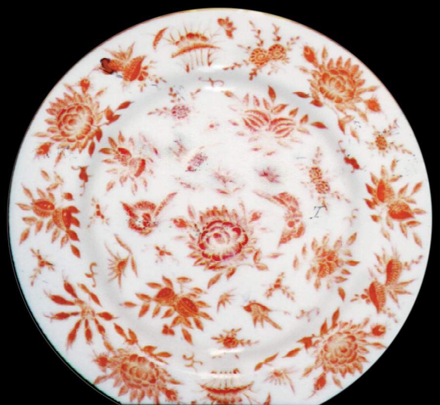 FCC62 Dinner Plate by Fine China of China-1