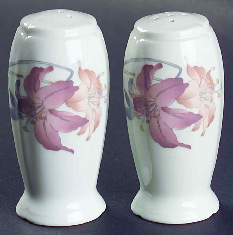 Anatole Salt & Pepper Set by Fine China of Japan-1