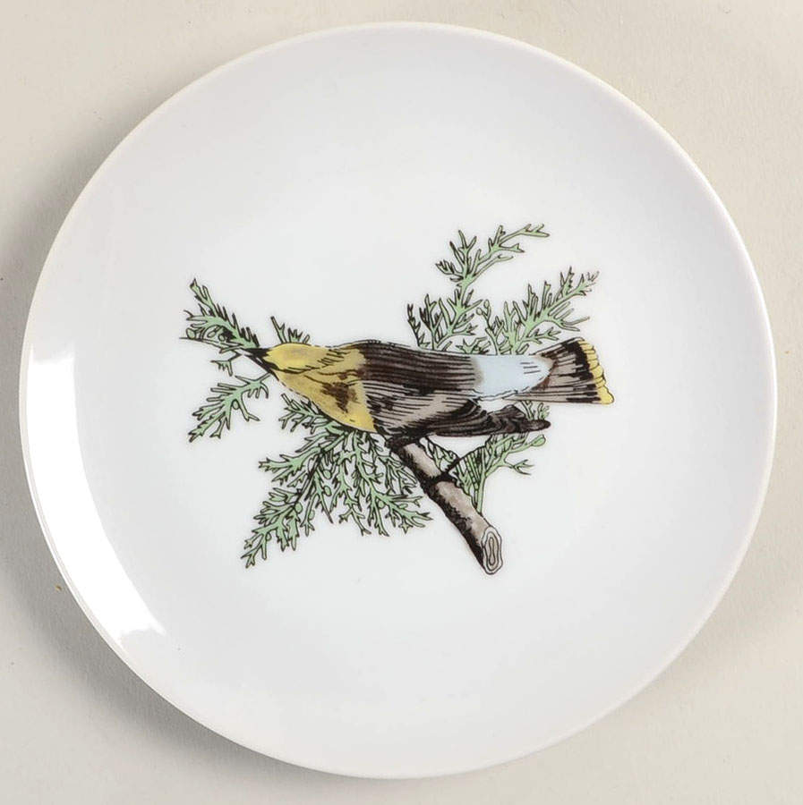 Variations Collector's Bird Dessert/Pie Plate by Fitz and Floyd-1