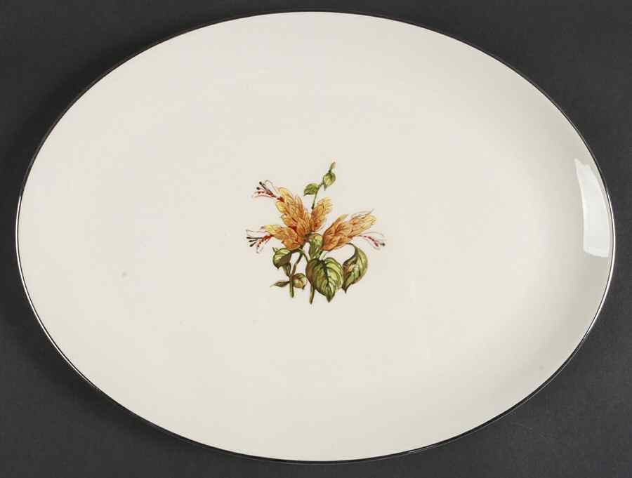 Cambria No Color Band (Platinum Trim) 14" Oval Serving Platter by Flintridge-1