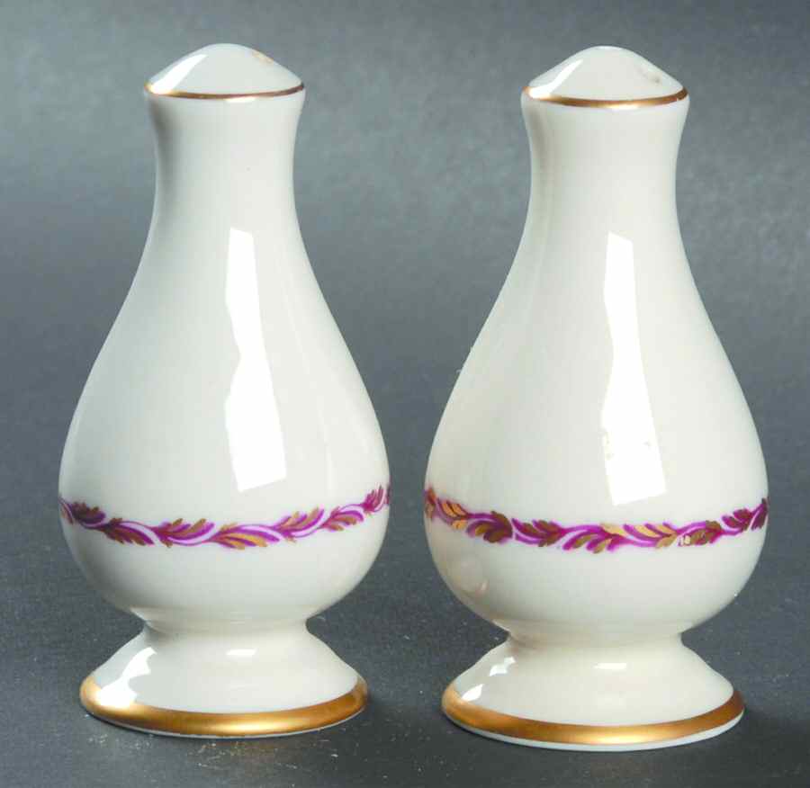 Arcadia Maroon Salt & Pepper Set by Franciscan-1